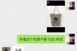 讨债怎么要求法院强制执行：法律途径详解